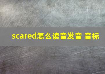 scared怎么读音发音 音标